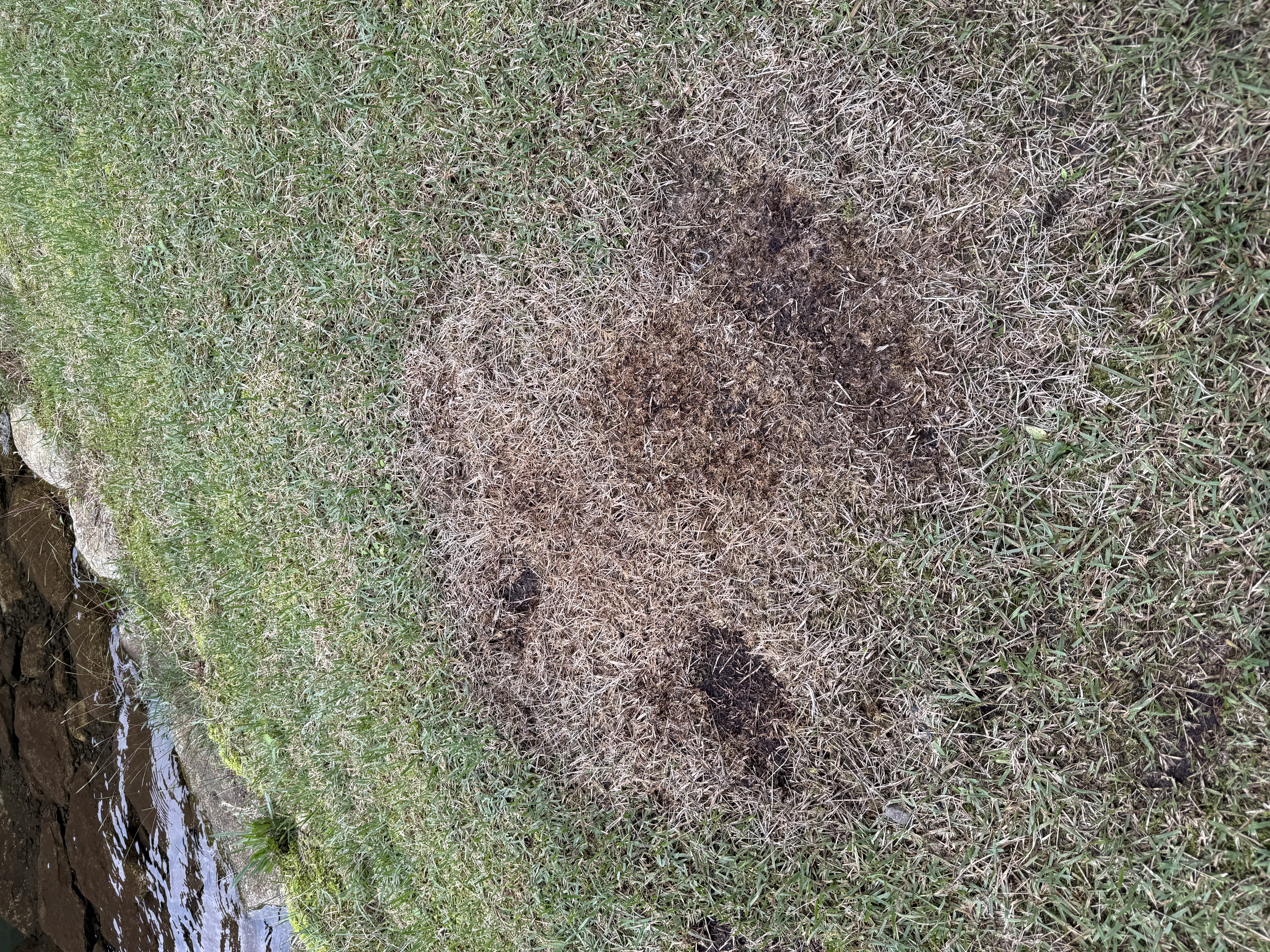 平良ベースからのお願いのアイキャッチ画像