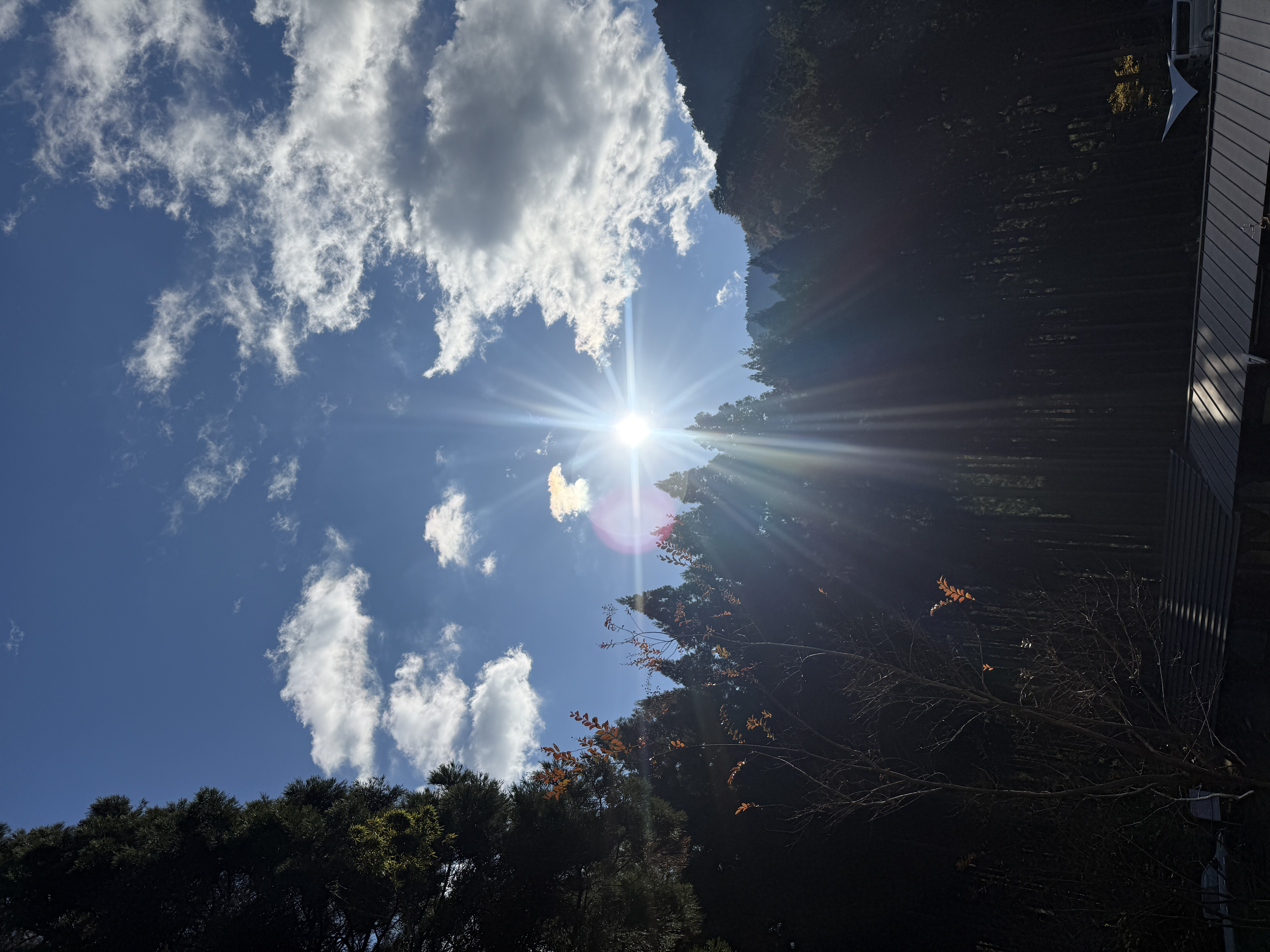 冬季休業のお知らせのアイキャッチ画像