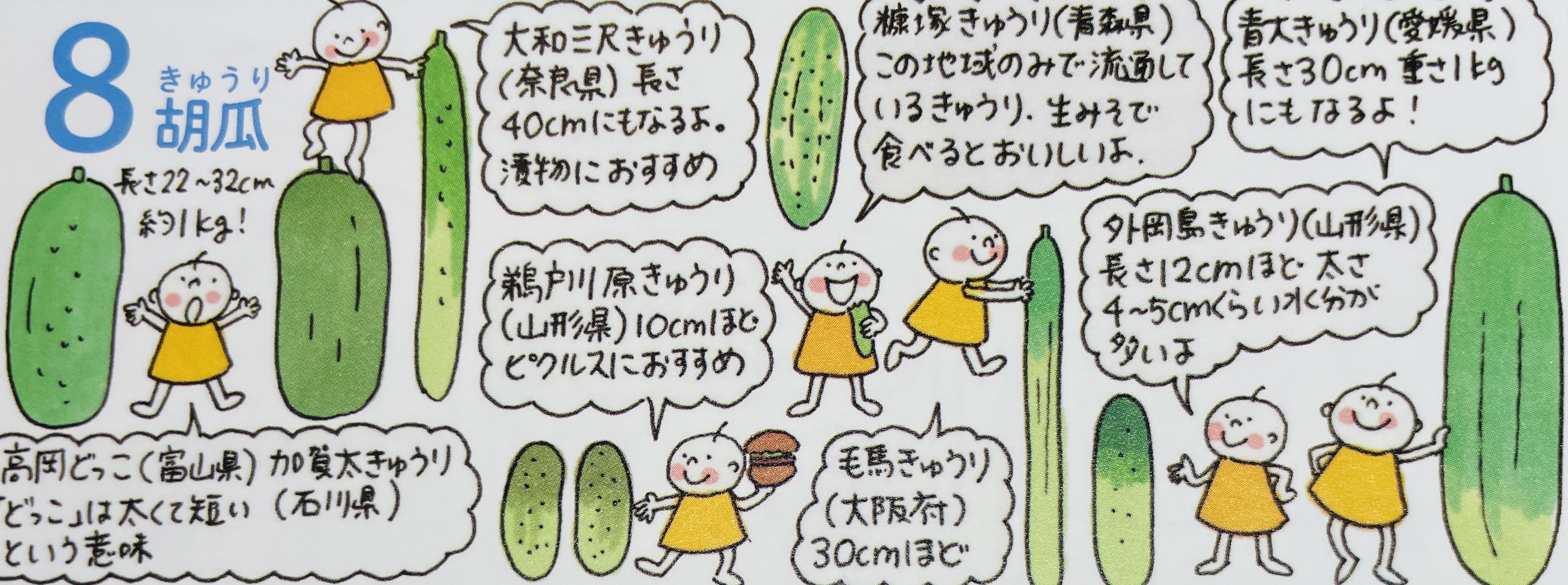 盛夏のアイキャッチ画像