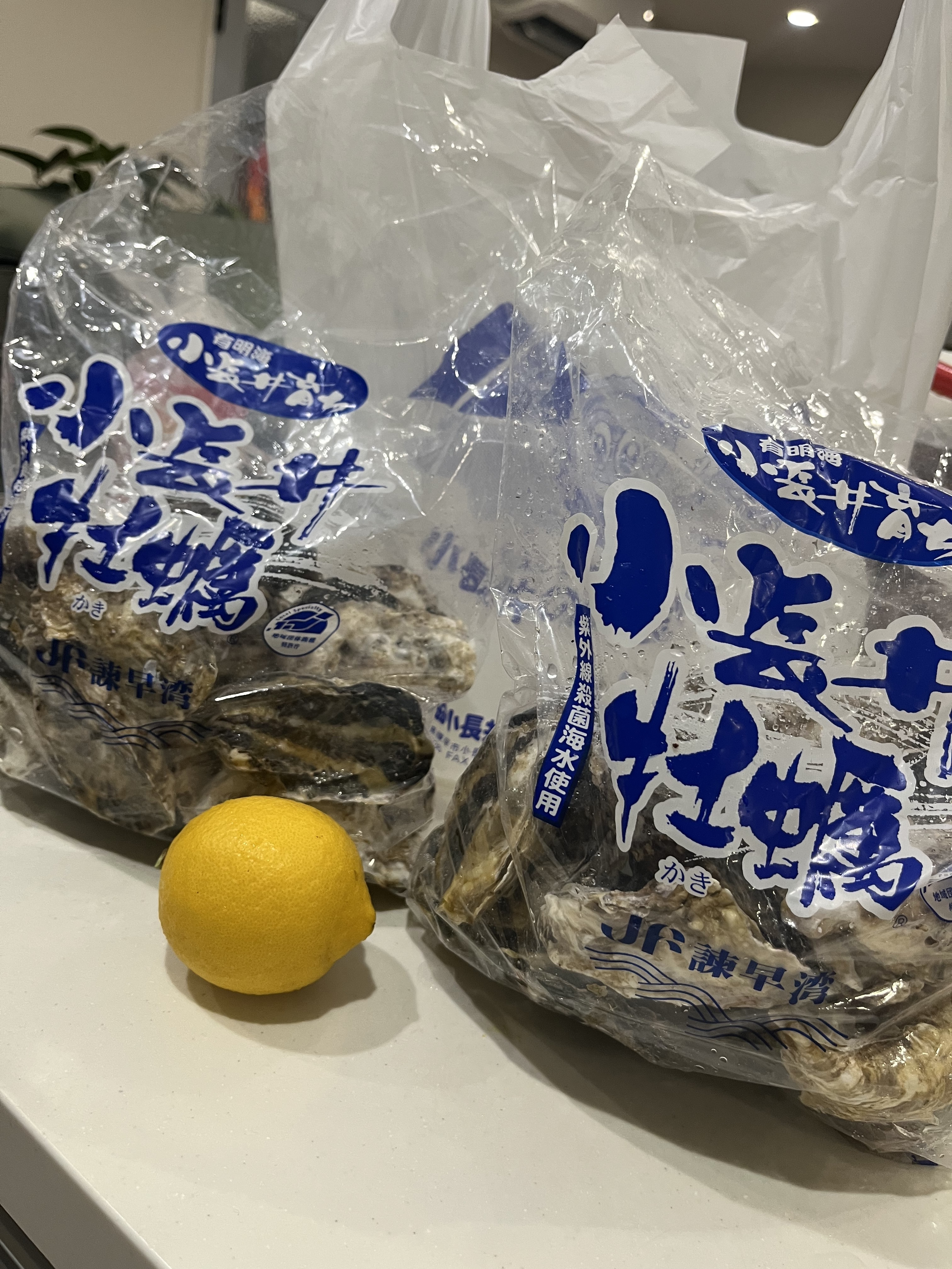 今日の小HINATA🌼のアイキャッチ画像