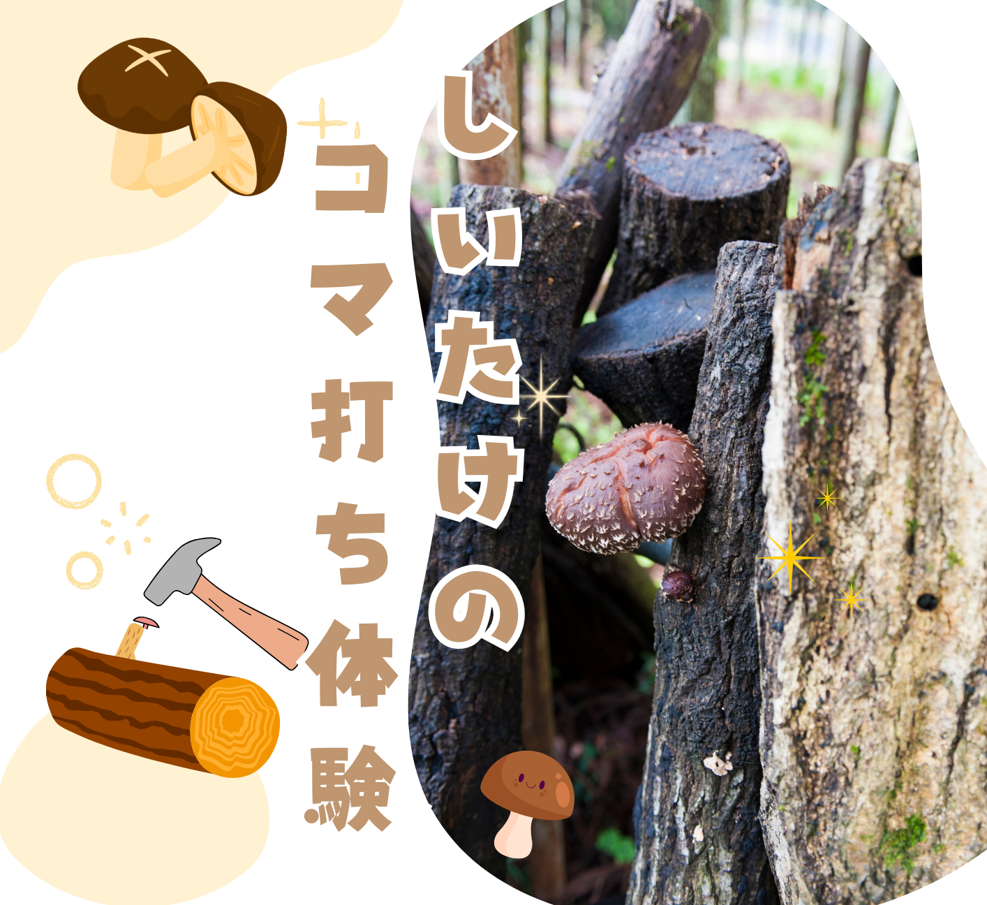 シイタケのコマ打ち体験参加者募集中です!! シイタケのコマ打ち体験参加者募集中です!!のアイキャッチ画像