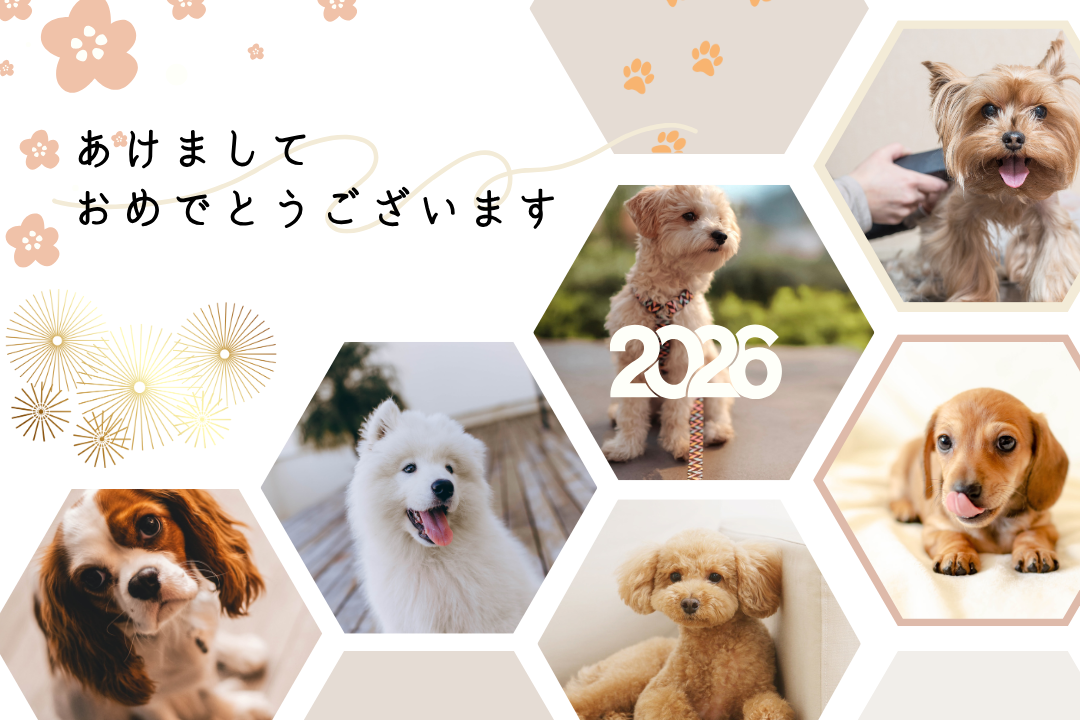 明けましておめでとうございます！！のアイキャッチ画像