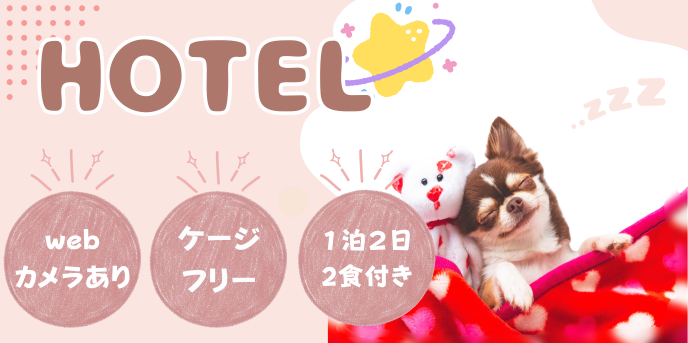 年末年始のペットホテルご案内 🎍🐾のアイキャッチ画像