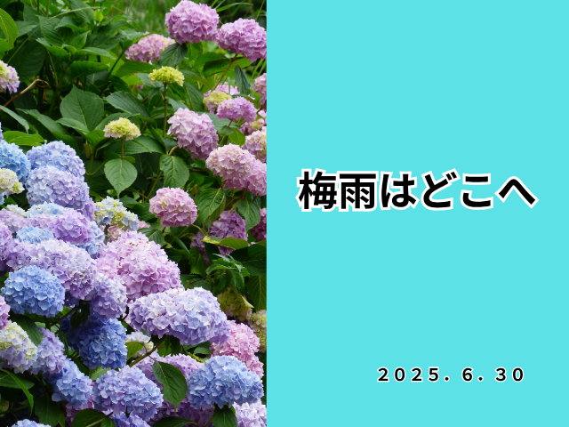 ホームページブログ６月3０日