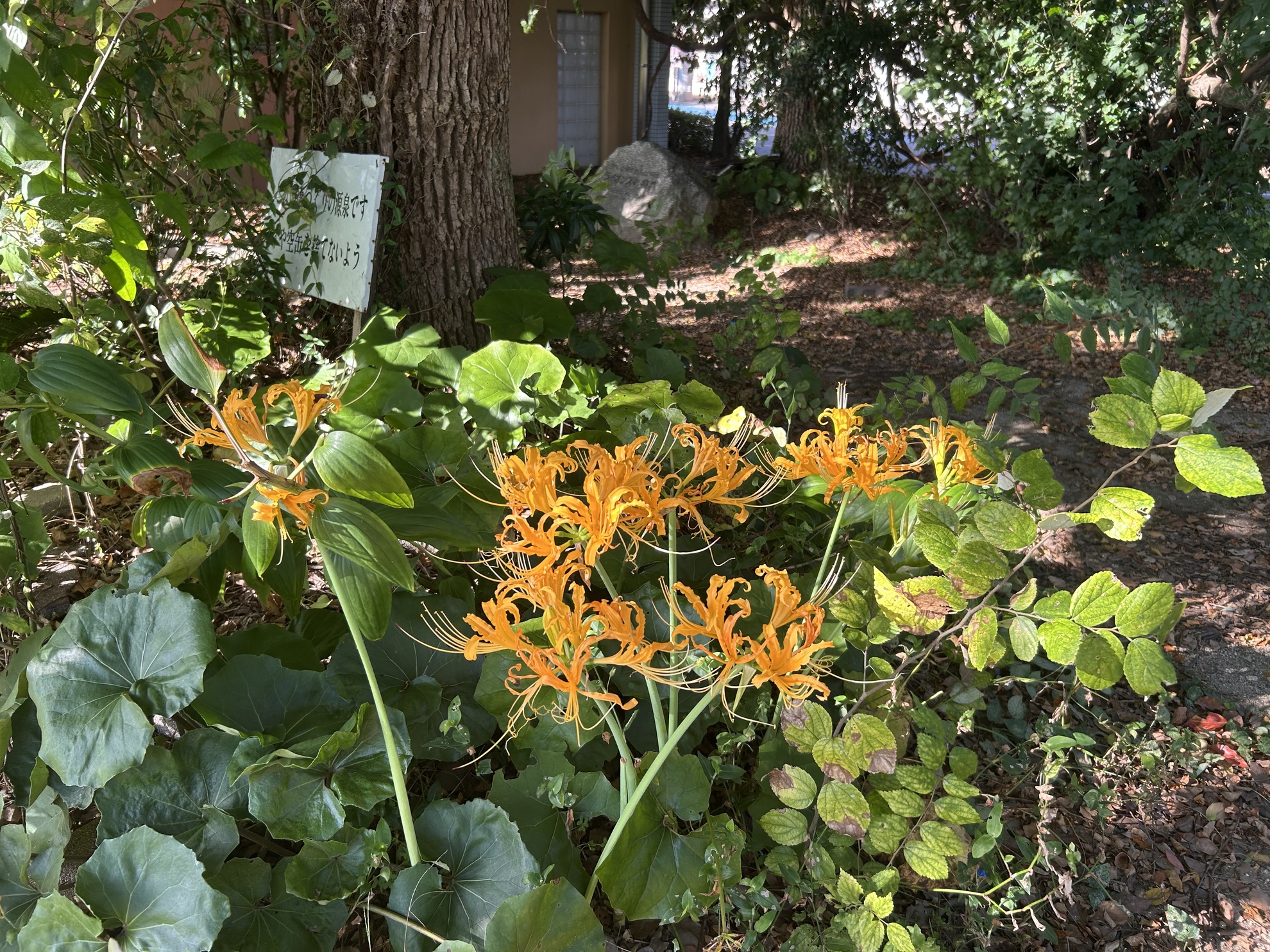 金価格がスゴい事になっております！！のアイキャッチ画像