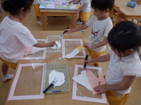 dscf8221