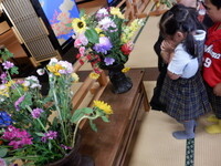 dscf7016