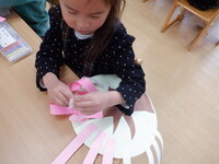 dscf5781
