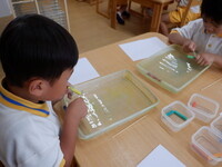 dscf7456
