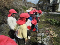 cimg0337