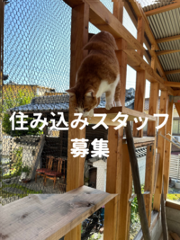 住み込みスタッフ 募集