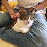 お客４