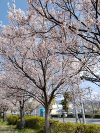 img20250404140925
