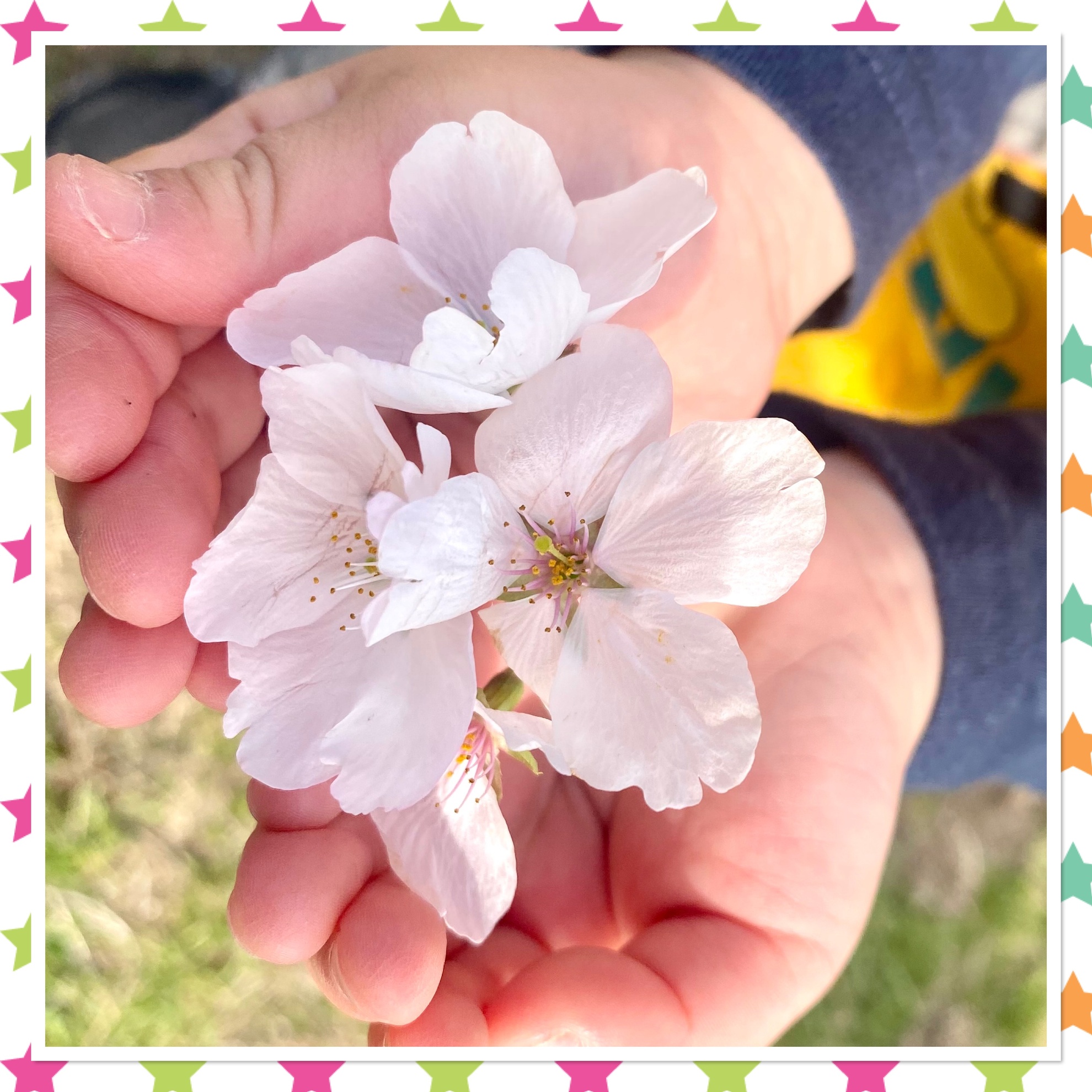 3月31日（月）令和6年度保育終了のアイキャッチ画像