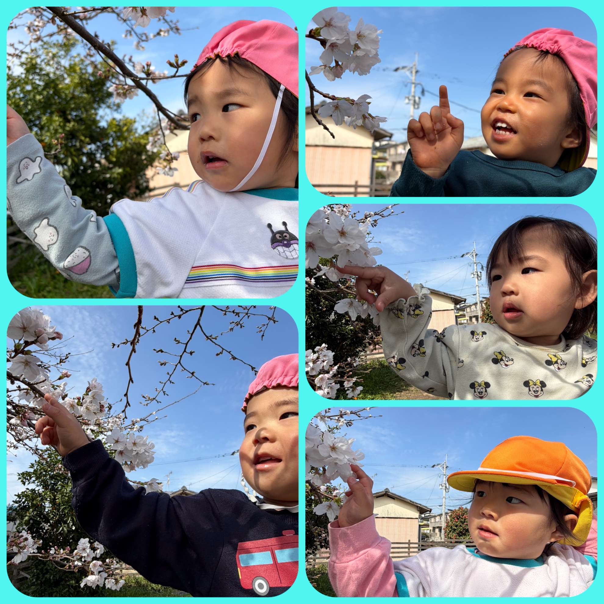 3月24日(火) お外遊びのアイキャッチ画像