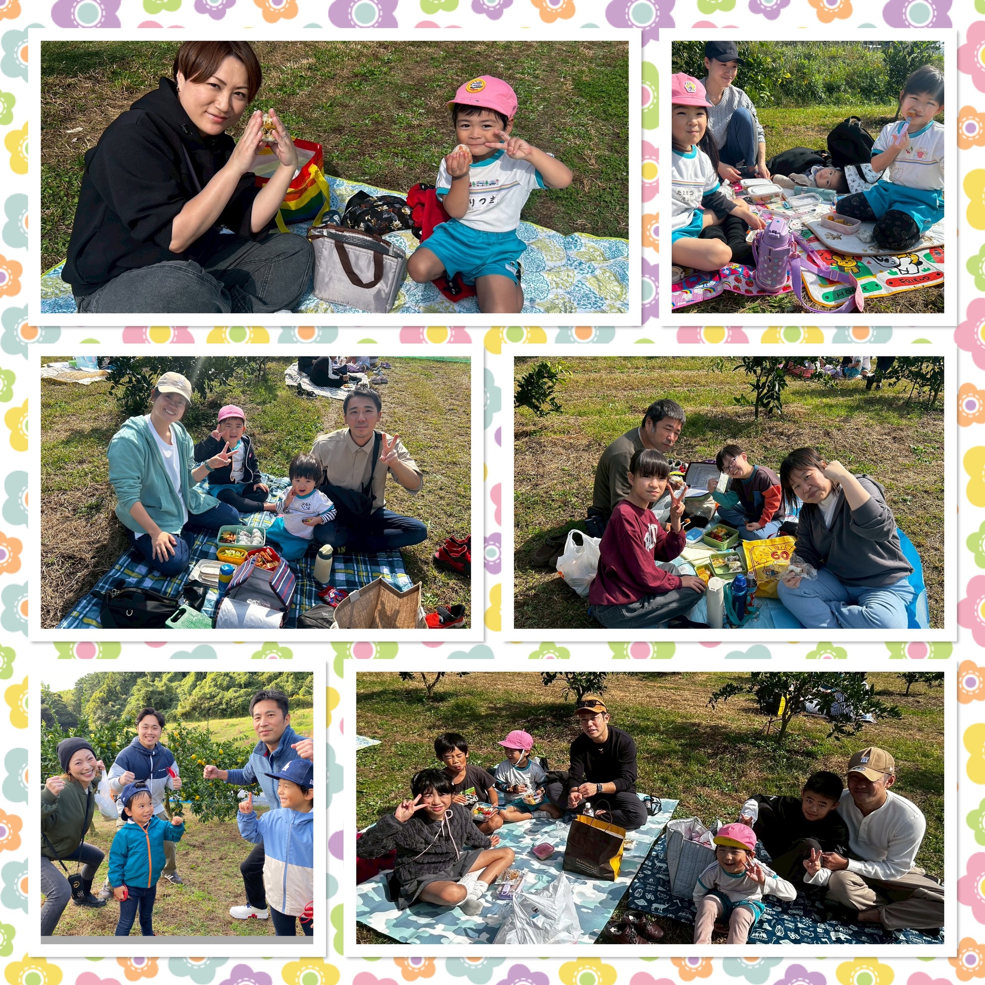 11月1日(土)みかん狩り遠足 11月1日(土)みかん狩り遠足のアイキャッチ画像