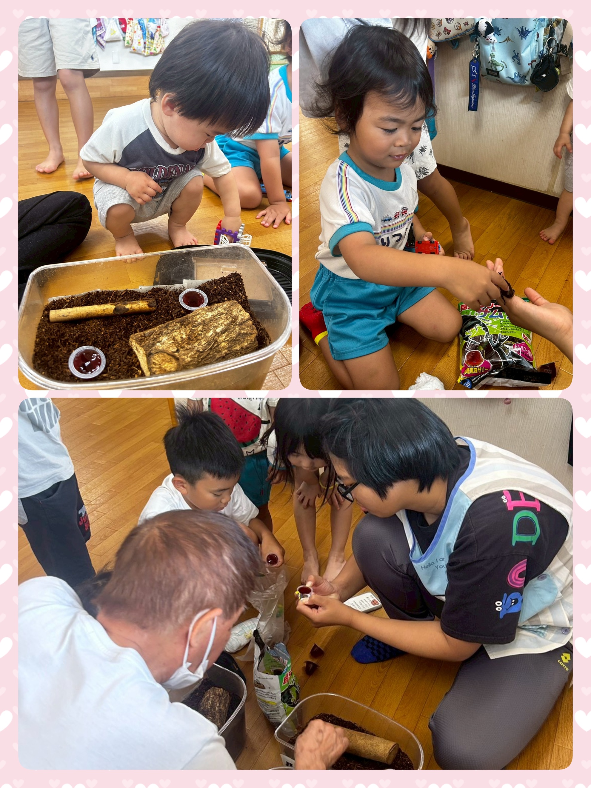 8月2日（土）カブトムシのアイキャッチ画像