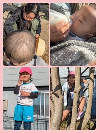 25-12-06-16-36-09-388_deco