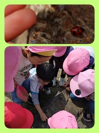 26-03-12-23-28-22-684_deco