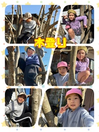 26-01-17-17-51-00-026_deco