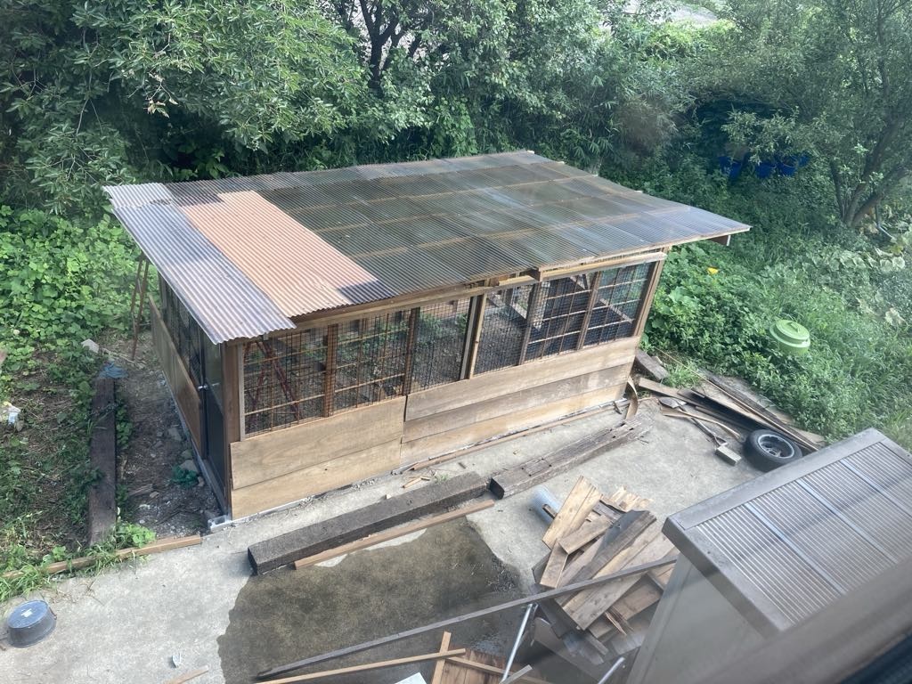 鶏小屋3