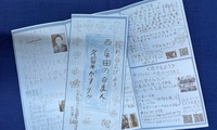 nisi7-800x480