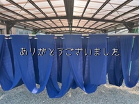 img_4627 (1)