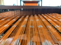 ossa-rotated