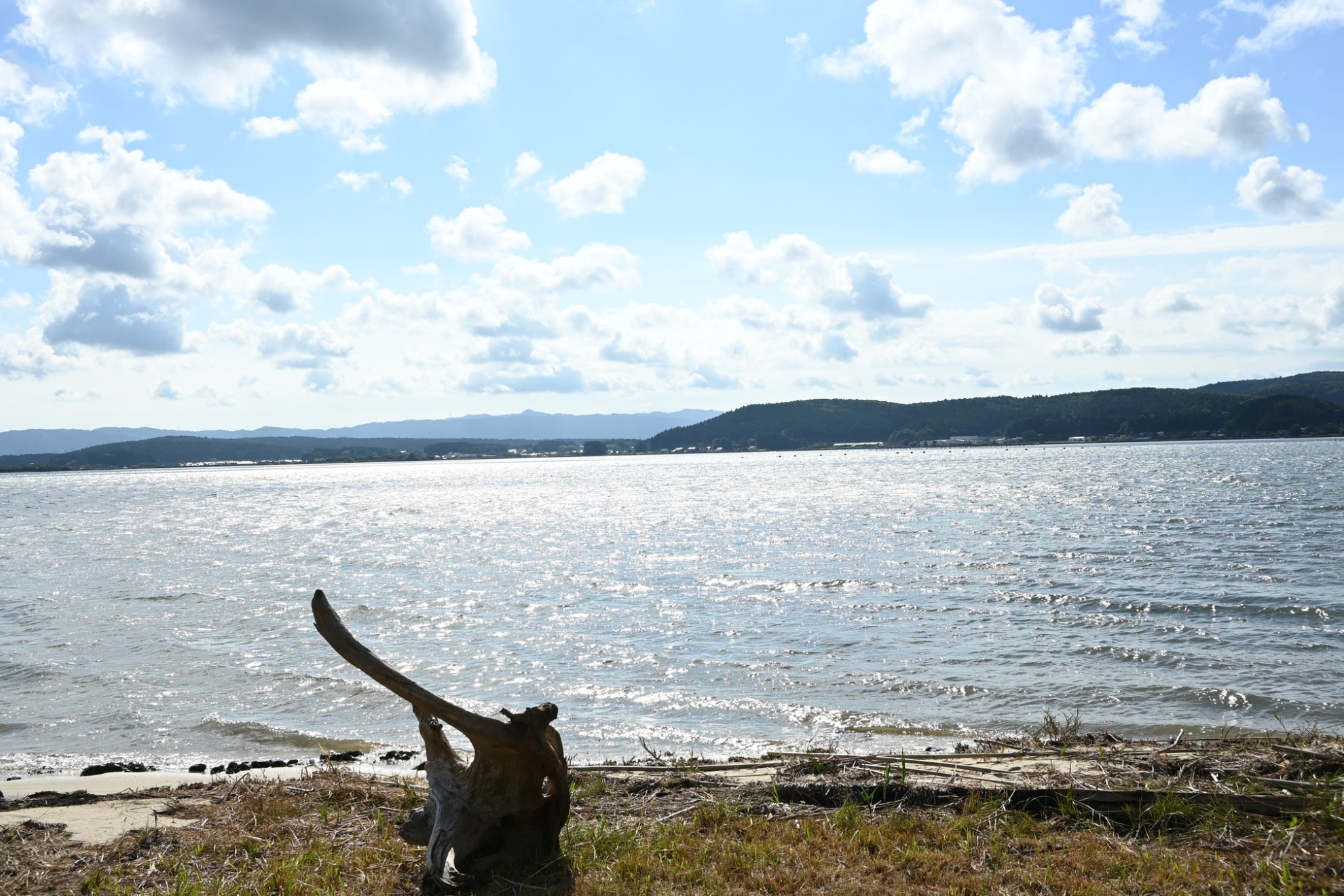 571804232_1241490708013982_8451676715634194595_n