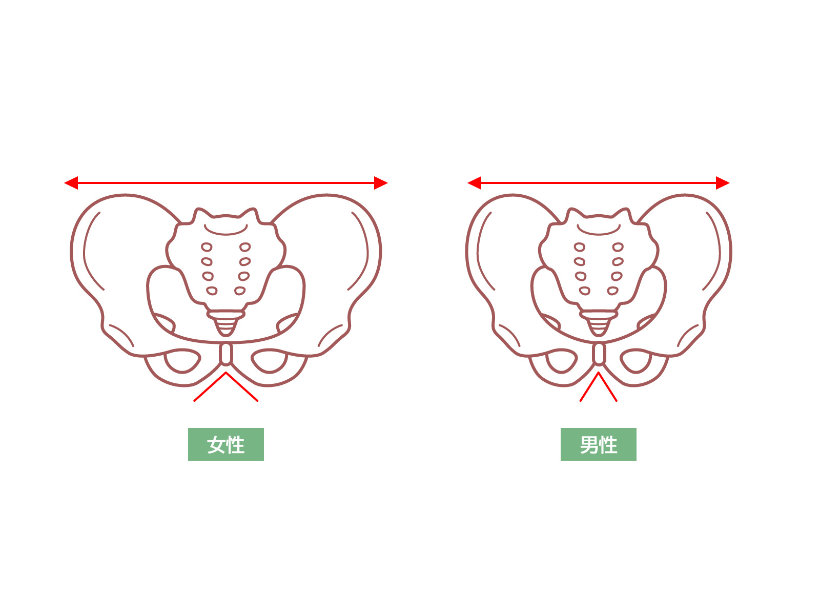 長引く肩の痛み、女性特有の原因とは? 2
