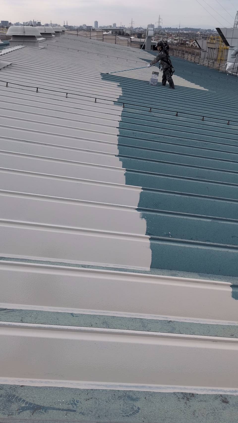 Ｓ１２Ｓ１２Ｓ１２