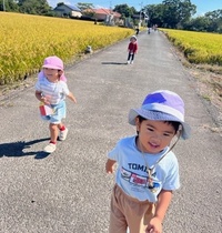 お散歩
