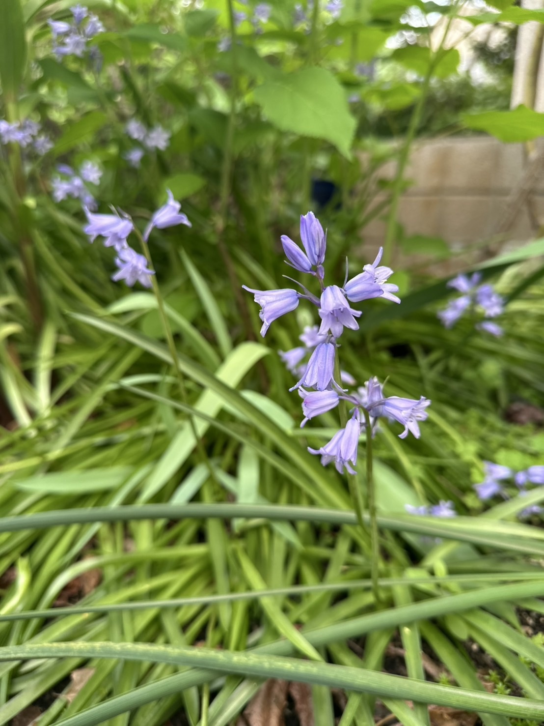 s__10379282_0