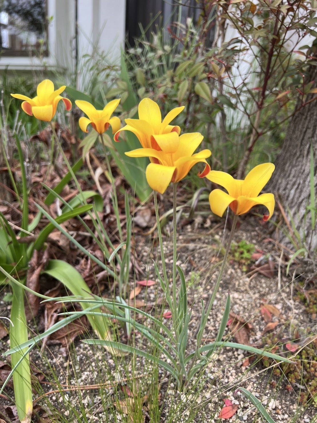 s__10379288_0