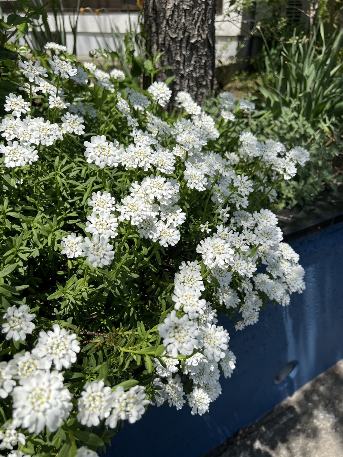 s__10379286_0