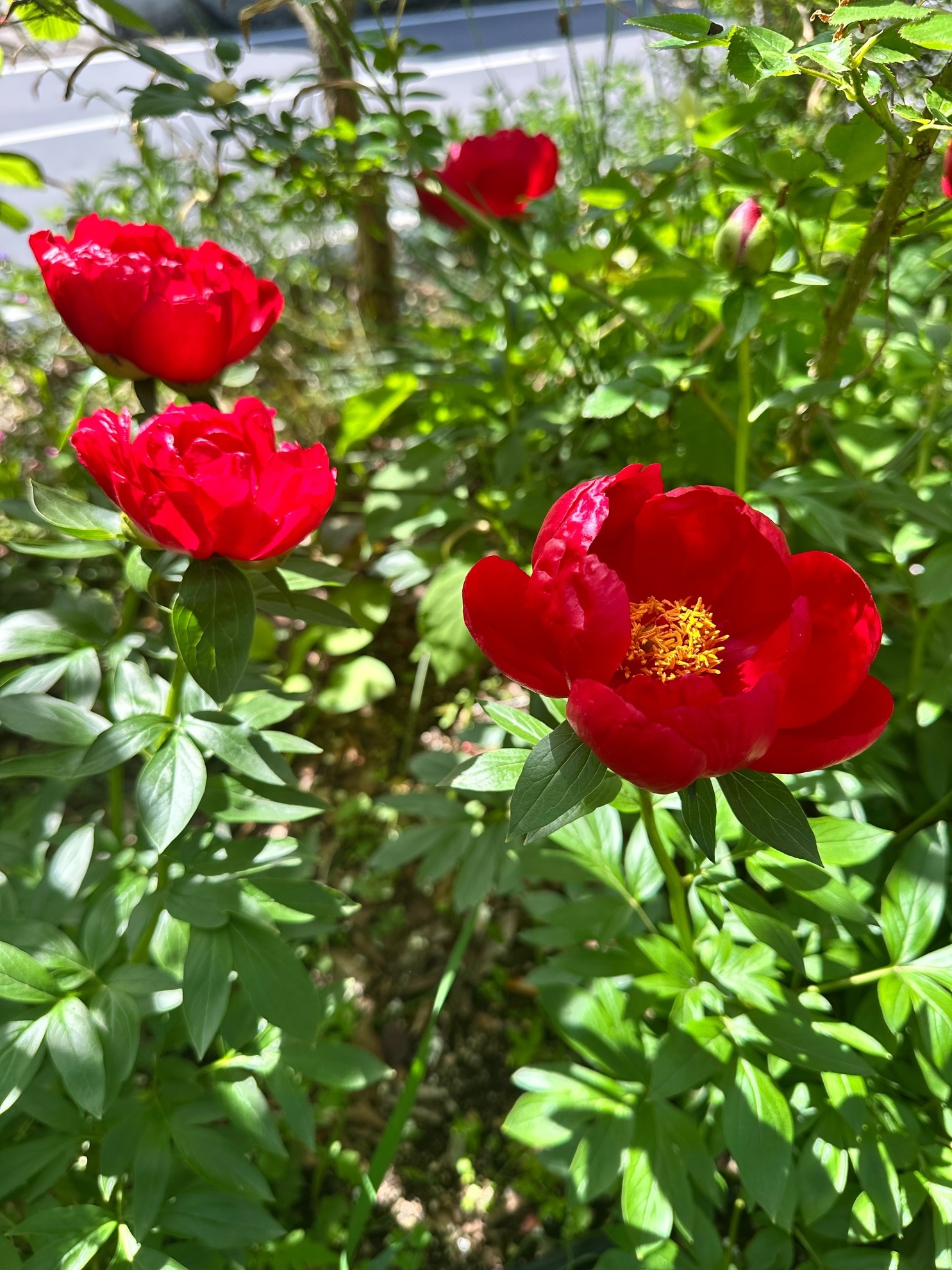 s__10379281_0