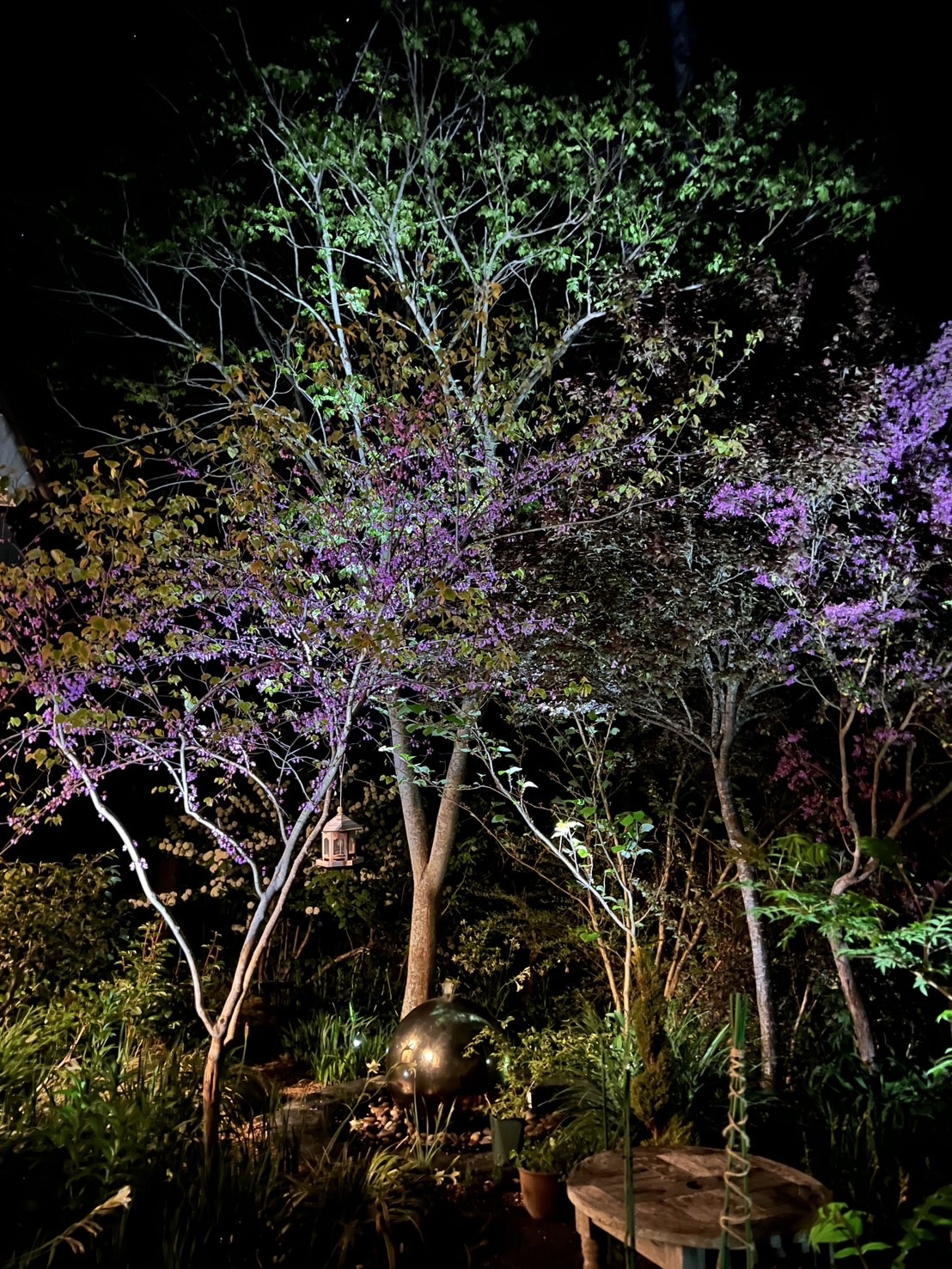 s__10379284_0